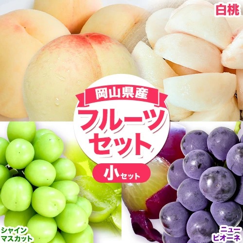 岡山白桃 2玉 & ピオーネ 380g & シャインマスカット 380g 詰合せ 小セット 令和8年産先行受付 《7月上旬-8月中旬頃出荷》【配送不可地域あり】 2455279 - 岡山県笠岡市