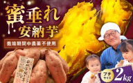 【熟成】プチサイズ安納芋 2kg 滋賀県長浜市/好作豊吉 [AQCF001] さつまいも サツマイモ さつま芋 焼き芋 やきいも スイーツ 甘い とろとろ 薩摩芋 デザート 甘芋 スイートポテト sweet potato 蜜 蜜芋 芋 イモ