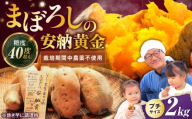 【熟成】プチサイズ安納黄金 2kg 滋賀県長浜市/好作豊吉 [AQCF003] さつまいも サツマイモ さつま芋 焼き芋 やきいも スイーツ 甘い とろとろ 薩摩芋 デザート 甘芋 スイートポテト sweet potato 蜜 蜜芋 芋 イモ