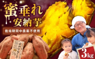 【厳選】熟成安納芋 3kg 滋賀県長浜市/好作豊吉 [AQCF005] さつまいも サツマイモ さつま芋 焼き芋 やきいも スイーツ 甘い とろとろ 薩摩芋 デザート 甘芋 スイートポテト sweet potato 蜜 蜜芋 芋 イモ