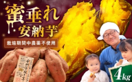 【厳選】熟成安納芋 4kg 滋賀県長浜市/好作豊吉 [AQCF006] さつまいも サツマイモ さつま芋 焼き芋 やきいも スイーツ 甘い とろとろ 薩摩芋 デザート 甘芋 スイートポテト sweet potato 蜜 蜜芋 芋 イモ
