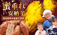 【厳選】熟成安納芋 5kg 滋賀県長浜市/好作豊吉 [AQCF007] さつまいも サツマイモ さつま芋 焼き芋 やきいも スイーツ 甘い とろとろ 薩摩芋 デザート 甘芋 スイートポテト sweet potato 蜜 蜜芋 芋 イモ