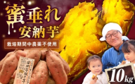 【厳選】熟成安納芋 10kg 滋賀県長浜市/好作豊吉 [AQCF008] さつまいも サツマイモ さつま芋 焼き芋 やきいも スイーツ 甘い とろとろ 薩摩芋 デザート 甘芋 スイートポテト sweet potato 蜜 蜜芋 芋 イモ