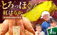 【厳選】紅はるか 4kg 滋賀県長浜市/好作豊吉 [AQCF014] さつまいも サツマイモ さつま芋 焼き芋 べにはるか ベニハルカ おやつ 煮物 芋ごはん 味噌汁 芋 生芋