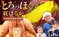 【厳選】紅はるか 5kg 滋賀県長浜市/好作豊吉 [AQCF015] さつまいも サツマイモ さつま芋 焼き芋 べにはるか ベニハルカ おやつ 煮物 芋ごはん 味噌汁 芋 生芋