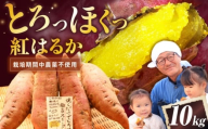 【厳選】紅はるか 10kg 滋賀県長浜市/好作豊吉 [AQCF016] さつまいも サツマイモ さつま芋 焼き芋 べにはるか ベニハルカ おやつ 煮物 芋ごはん 味噌汁 芋 生芋