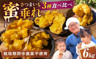 【厳選】熟成 さつまいも 3種 食べ比べ セット 6kg 滋賀県長浜市/好作豊吉 [AQCF018] 紅はるか 安納芋 サツマイモ さつま芋 さつまいも 芋 いも 食べ比べ べにはるか 野菜 やさい
