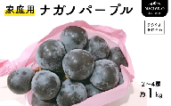 TK18-26A 【先行予約】 ぶどう ナガノパープル 家庭用 約1kg ／ 2026年9月上旬～中旬頃 配送予定 // 種なし 皮ごと 南信州 長野県 オリジナル品種 稀少 人気 自家用 訳あり お試し