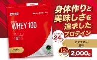 【定期便12回】DNS プロテインホエイ 100 バナナオレ 風味 2,000g  | プロテイン ホエイプロテイン バナナ オレ 人気 高たんぱく ダイエット 置き換え 栃木県 送料無料