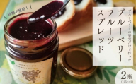 ブルーベリーフルーツスプレッド2本(125ｇ/1瓶×2) 砂糖不使用 栃木県茂木町産 | ブルーベリー ハイブッシュ 冷凍 フルーツ 果物 ベリー ジャム 朝食 ヨーグルト シャーベット ソース 農園コトリのよりみち 栃木県 茂木町