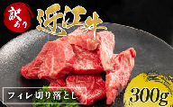 【訳あり】近江牛 ヒレ 切り落とし 300g 近江日野牛 完熟近江牛 焼肉用 やきにく 焼肉 焼き肉 切落し 切落し 訳アリ 牛肉 高級 最上級 ブランド 和牛 近江牛 300g 国産牛 ヒレ フィレ ヒレ肉 ヒレステーキ フィレ肉 ひれ 肉 にく近江 牛 松阪牛 神戸牛 に並ぶ 日本三大和牛 長期肥育 生体熟成 熟成 近江牛 贈答 プレゼント お取り寄せ 滋賀県 日野町 岡崎 ステーキ