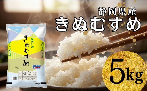 米 静岡きぬむすめ 5kg お米 白米 コメ 精米 きぬむすめ 静岡県産 袋井市 静岡県 2456396 - 静岡県袋井市