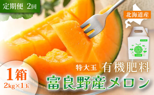 【定期便2ヵ月】糖度15度以上 赤肉メロン 富良野産 特秀品メロン 2kg×1玉 1箱×全2回｜北海道富良野市 7～8月発送 贈答用 ギフト プレゼント メロン 赤肉メロン 富良野メロン 果物 フルーツ とろける甘さ 夏季限定 2456411 - 北海道富良野市