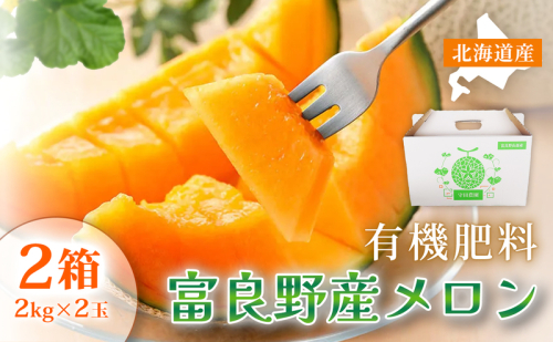 【糖度15度以上 赤肉メロン】富良野産 特秀品メロン 2kg×2玉 2箱｜北海道富良野市 7～8月発送 贈答用 ギフト プレゼント メロン 赤肉メロン 富良野メロン 果物 フルーツ とろける甘さ 夏季限定 旬の味覚 芳醇な香り 2456413 - 北海道富良野市