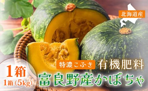 【秋の味覚 北海道産 カボチャ】特濃こふき 無選別 5kg×1箱｜北海道富良野市 9～10月発送 野菜 しっとり ホクホク 濃厚 甘い 濃橙果肉 黒皮カボチャ かぼちゃ こふきかぼちゃ 南瓜 料理用 煮物 贈答用 秋季限定 2456438 - 北海道富良野市