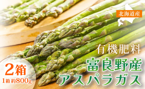 【春野菜 鮮度抜群 】富良野産 アスパラガス サイズ無選別 S～2L混合 800g×2箱｜北海道富良野市 4～5月上旬発送 シャキシャキ食感 贅沢 ギフト プレゼント アスパラ アスパラガス グリーンアスパラ 料理用 春季限定 2456469 - 北海道富良野市