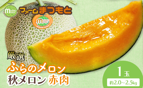 【2026年秋発送】厳選ふらのメロン [秋メロン] 赤肉 1玉（2.0～2.5kg）糖度15度以上 [ファームまつもと] メロン 赤肉メロン フルーツ 果物 新鮮 甘い 贈り物 ギフト ブランドメロン 秋 北海道 富良野 2456479 - 北海道富良野市