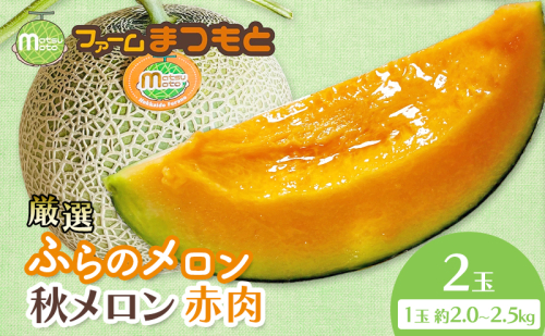 【2026年秋発送】厳選ふらのメロン [秋メロン] 赤肉 2玉（計4kg以上）糖度15度以上 [ファームまつもと] メロン 赤肉メロン フルーツ 果物 新鮮 甘い 贈り物 ギフト ブランドメロン 秋 北海道 富良野 2456480 - 北海道富良野市