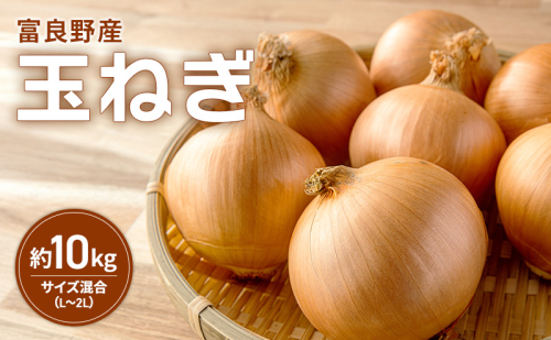 富良野産 玉ねぎ 約10kg入り サイズ混合（L～2L）たまねぎ ご家庭用  野菜 甘い 新鮮 北海道 富良野市 2456492 - 北海道富良野市