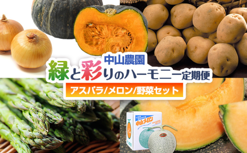 【2026年春発送】中山農園から贈る 緑と彩りのハーモニー定期便(アスパラ/メロン/野菜セット) アスパラガス アスパラ メロン フルーツ いも じゃがいも 玉ねぎ たまねぎ かぼちゃ 南瓜 新鮮 野菜 産地直送 果物 甘い 贈り物 ギフト 道産 数量限定 北海道 富良野市 2456493 - 北海道富良野市