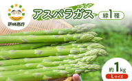 【2026年春発送】数量限定 グリーンアスパラガス Lサイズ 約1kg 野菜 アスパラ アスパラガス 新鮮 北海道 富良野