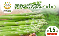 【2026年春発送】数量限定 グリーンアスパラガス Lサイズ 約1.5kg 野菜 アスパラ アスパラガス 新鮮 北海道 富良野