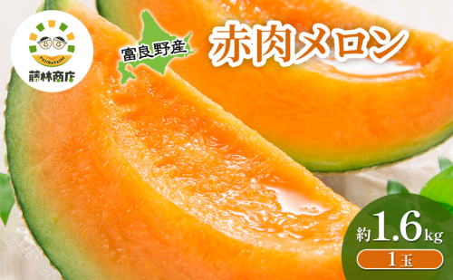 【2026年夏発送】メロン 北海道 富良野メロン 赤肉1玉 約1.6kgサイズ以上 北海道 ふらの めろん 果物 フルーツ 甘い ジューシー 2456499 - 北海道富良野市
