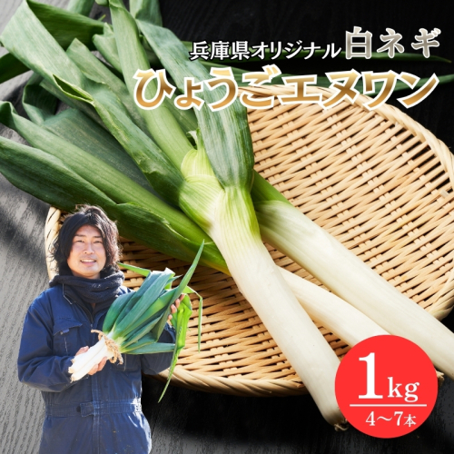 数量限定 テレビで話題！ 極上 ひょうごエヌワン 白ネギ 1kg 4～7本 エヌワン ねぎ 長ネギ 兵庫県 加西市 2456519 - 兵庫県加西市