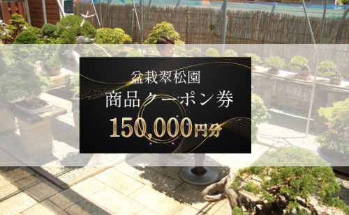 盆栽 翠松園 商品クーポン券 150,000円分 植物 観葉植物 園芸 商品券 兵庫県 2456527 - 兵庫県加西市