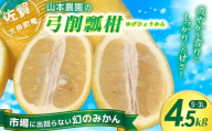 山本農園の珍果 弓削瓢柑 （ゆげひょうかん） 4.5kg 【2026年3月下旬～4月下旬発送予定】 ひょう柑 みかん 蜜柑 ミカン おれんじ オレンジ フルーツ 果物 くだもの ジューシー 柑橘  国産 完熟 ジューシー プレゼント 贈り物 ギフト 希少 レア 佐賀県 太良町 N127x1