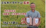 特別栽培米 ミルキークイーン 玄米 5kg （5kg×1袋）  令和8年産 2026年産 小分け 単一米 精米 減農薬 化学肥料不使用 埼玉県認証 埼玉県 川島町