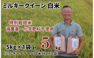 特別栽培米 ミルキークイーン 白米 5kg （5kg×1袋） 令和8年産 2026年産 小分け 単一米 精米  減農薬 化学肥料不使用 埼玉県認証 埼玉県 川島町
