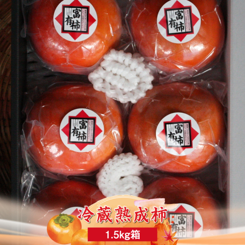 【先行予約】冷蔵熟成柿1.5kg箱　〈出荷時期：2026年12月20日～2027年2月28日出荷終了〉【 柿 かき フルーツ 神奈川県 海老名市 】 2456841 - 神奈川県海老名市