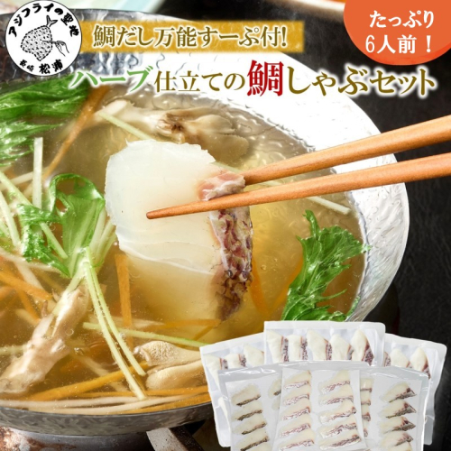 鯛だし万能すーぷ付！ハーブ仕立ての鯛しゃぶセット工場直送たっぷり6人前 ( 真鯛 ハーブ 鯛だし 凝縮 鯛しゃぶ カルパッチョ パスタ ハーブ飼料 )【C0-103】 2457170 - 長崎県松浦市