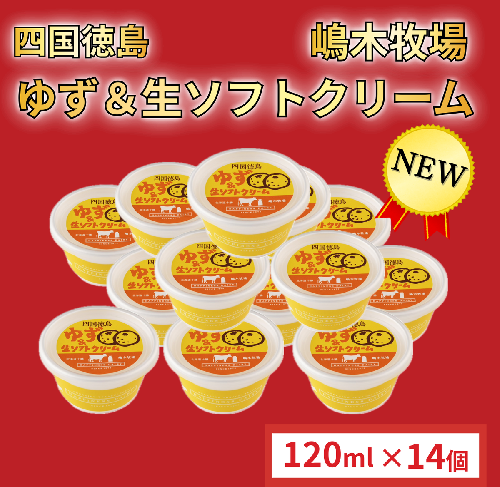 徳島ゆず＆生ソフトクリーム 14個×120ml アイスクリーム アイス スイーツ 池田町 ジェラート ギフト ソフトクリーム 国産 詰め合わせ アイスセット 嶋木牧場 先行予約 2457179 - 北海道池田町