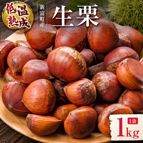＜2026年出荷!!＞国産 低温熟成栗（生栗）1kg 熟成宝珠栗 産地直送 宮崎県新富町産 先行予約【B671-26】 2457190 - 宮崎県新富町