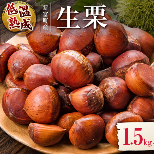 ＜2026年出荷!!＞国産 低温熟成栗（生栗）1.5kg 熟成宝珠栗 産地直送 宮崎県新富町産 先行予約【B672-26】 2457193 - 宮崎県新富町