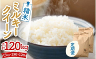 【令和7年産】定期便《12ヶ月連続お届け》ミルキークイーン 精米 10kg（5kg×2袋）計120kg＜低農薬栽培＞ ／ 高品質 鮮度抜群 福井県あわら市産 白米 お米 米 [aw066-p001]