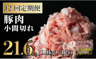 B572 【12回定期便】長崎県産 豚肉こま切れ 1.8kg (300g×6) 総計21.6kg 定期便 小分け 冷凍 豚肉 こま切れ 小間切れ 細切れ 切り落とし ぶたにく 国産豚 定期便