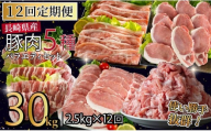 B620《定期便》長崎県産豚 バラエティ 5点セット 計2.5kg【12回お届け】