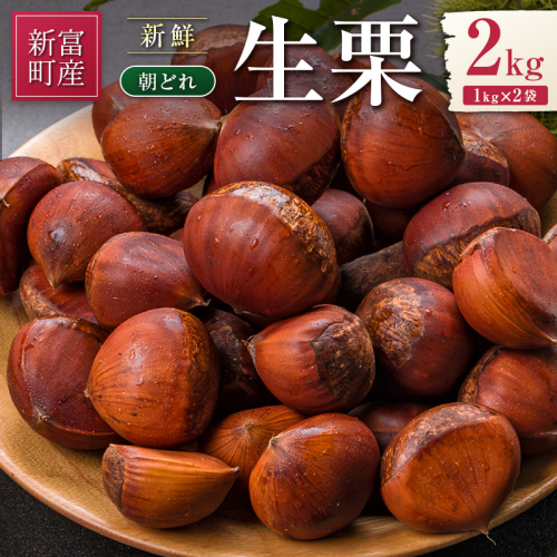 ＜2026年出荷!!＞国産 新鮮朝どれ（生栗）2kg お取り寄せ 産地直送 宝珠栗 数量限定 宮崎県新富町産 先行予約【B669-26】 2457254 - 宮崎県新富町