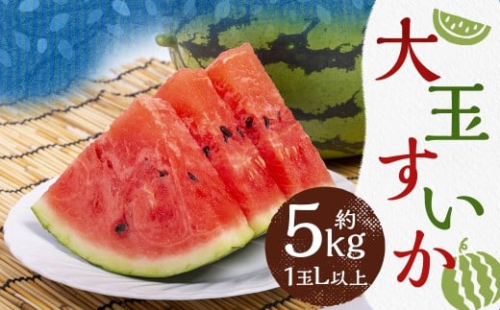 大玉 すいか 1玉 L以上 約5kg【2026年5月上旬～6月下旬発送予定】 2457255 - 熊本県益城町
