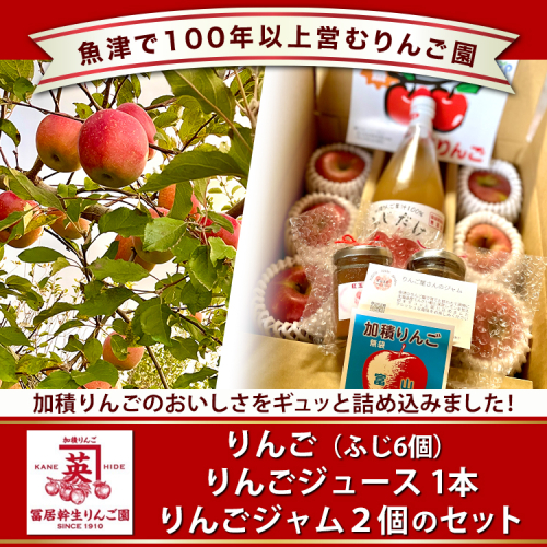 ふじりんごとふじりんごジュース、りんごジャムのセット ※2025年12月上旬～2026年3月下旬頃に順次発送予定 ※北海道・沖縄・離島への配送不可 2457263 - 富山県魚津市