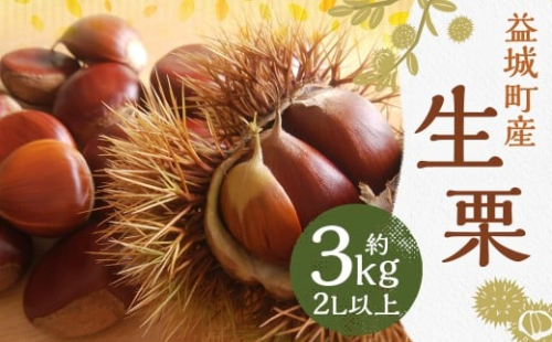 生栗 クリ 大粒 2L以上 約3kg くり マロン【2026年9月上旬～10月上旬発送予定】 2457272 - 熊本県益城町