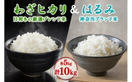 令和7年産 目利きの厳選ブレンド米とはるみの食べ比べセット 各5kg (合計10kg) 五つ星お米マイスター親子プロデュース！｜米 お米 ブレンド米 白米 ご飯 精米 厳選 お米マイスター [0888]