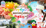 スパリゾート ハワイアンズ　施設利用券3,000円分＋ねぎとろ使い切りパック 240g（約40g×6パック） | 利用チケット 入場券 ホテルハワイアンズ モノリスタワー ウイルポート フラダンス プール スパ 福島県 いわき市 マウナヴィレッジ ゴルフコース まぐろたたき ねぎとろ マグロ パーティー 使い切りパック 海鮮丼 お寿司 軍艦巻き | ZZ020