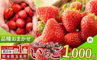 イチゴ 生産量 西 日本一 ！厳選農家直送 おまかせ 2種のいちご 食べ比べ 約 1000g | フルーツ 果物 くだもの いちご イチゴ 苺 西日本一 産地直送 食べ比べセット 熊本県 玉名市