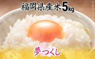 福岡県産米 夢つくし ５kg 米 令和7年産 精米 国産 米 白米 精米 こめ コメ ブランド米 ごはん おにぎり おやつ 単一米 福岡県 福岡 九州 グルメ お取り寄せ