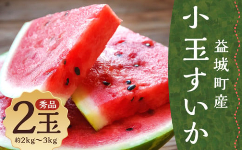 小玉すいか 秀品 2玉 約2～3kg 送料無料 スイカ すいか 益城町産 お取り寄せ お取り寄せグルメ 西瓜 フルーツ 【2026年5月下旬～7月下旬発送予定】 2458022 - 熊本県益城町