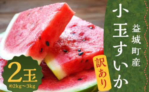 訳あり 小玉すいか 2玉 約2～3kg 送料無料 熊本すいか すいか 西瓜 ひとりじめ 果物 フルーツ 【2026年5月下旬～7月下旬発送予定】 2458040 - 熊本県益城町